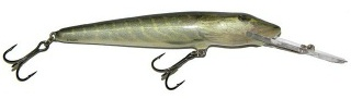 0001_Salmo_Pike_SDR_9_cm_[Real_Pike].jpg